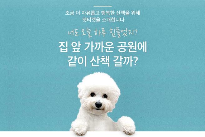 옥션 - 펫티켓  : 모두가 안전하고...