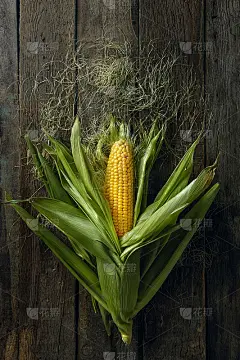 玉米棒静物画