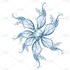 水花形