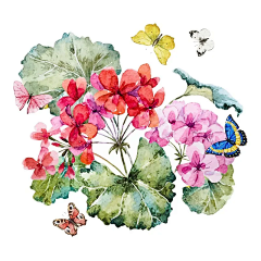 洋咩咩yy采集到插画风海报
