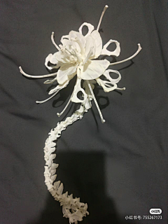 羱羊采集到F服装三次元