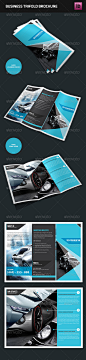 Trifold Brochure  - Brochures Print Templates