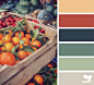 { color market } image via: @_ewabakrac