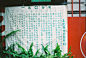 Nic的相册-Taipei