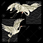 17966576-A-Japanese-crane-Stock-Photo-bird.jpg (1300×1300)