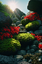00408-1649086096-hyperdetailed photography,Photographic photo,Hyperrealism,cinematic,realistic,4K,the rocks were covered with moss,there are a lo