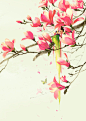 古风素材/古风底图/古风花/古风植物/唯美古风底图/古风纯排底图/古风纯排素材/古风溶图素材/云起书院/晋江文学城/红袖添香/起点女生网/恰饭工作室