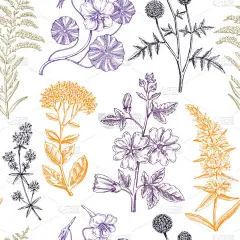 手绘夏季背景。园林植物设计采用素描风格.植物无缝图案。纺织品、织物、包装的植物学图解.芙蓉，仙人掌，