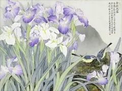 水彩--鸢尾花 - 高清图片，堆糖，美图壁纸兴趣社区