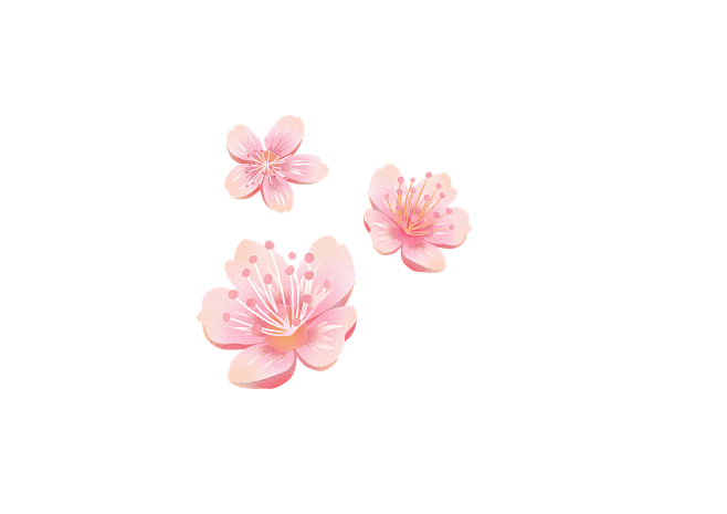 桃花樱花PNG