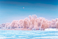 雪景_创意搜索