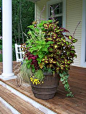 HGTV fan Chris Major packed the cottage-garden aesthetic into one planter. Several varieties of coleus, Mexican feather grass and other plants give the container garden a soft, free-form look.