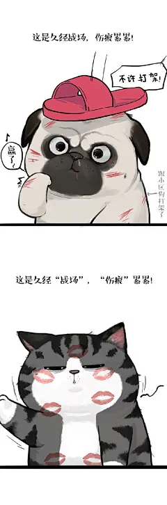 @吾皇的白茶 的个人主页 - 微博