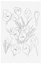兰花黑白手绘线稿过年年货节花朵免扣元素