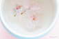 Cherry Blossom Tea　　- 桜茶　- | Sumally
