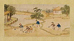 古画 棉花图册的搜索结果_百度图片搜索