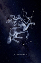 This may contain: the zodiac sign sagitaurus is depicted in this artistic image, with stars above it