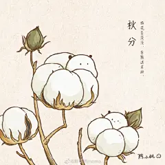 #秋分# 秋意绵绵~ ​​​​