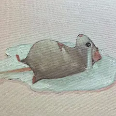 Photo by Dayris Felix on October 01, 2023. May be an image of rat and ferret.