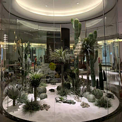 mojito漠漠采集到景