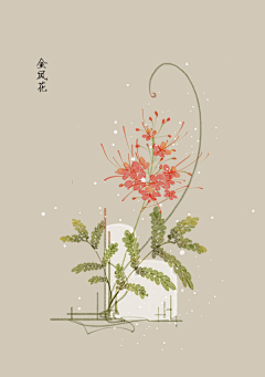 弞非采集到花卉插画