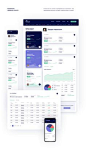 Investment strategy Fintech Dashboard | UI/UX on Behance
