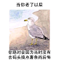 008vVelsly1h9h5g3ct6oj30q90qtq7n.jpg (945×965)