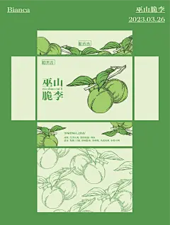 Packaging 59／巫山脆李包装设计