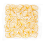Golden Ginkgo Square