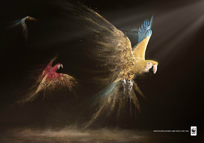 ID:956396大图-WWF世界自然基...