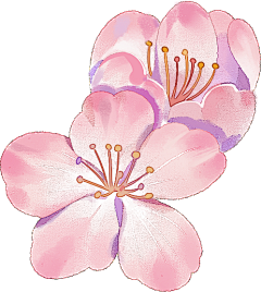 KristenL采集到PNG