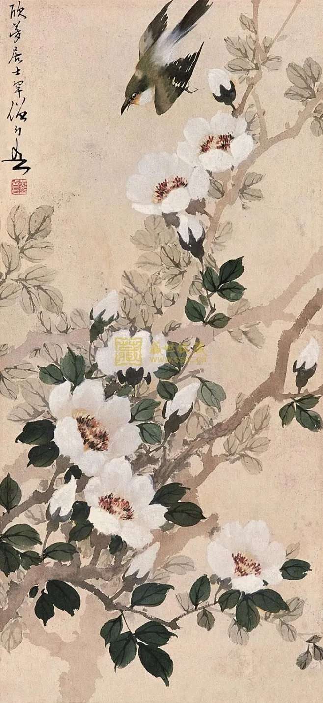 【岭南名家黄幻吾花鸟画作品欣赏】-花瓣网