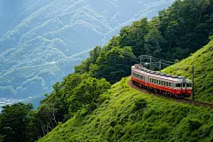 列车穿梭在山林间风景图片