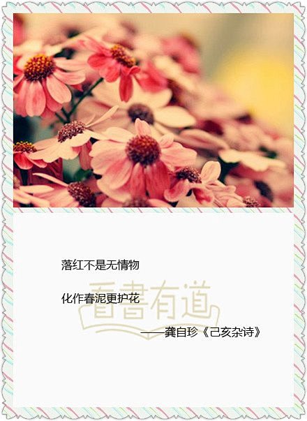 【一本书一句话一个人一段情VOL.2】落...