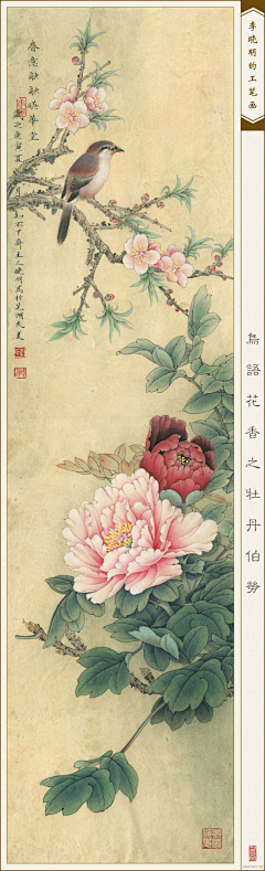 江岸野蕊采集到牡丹
