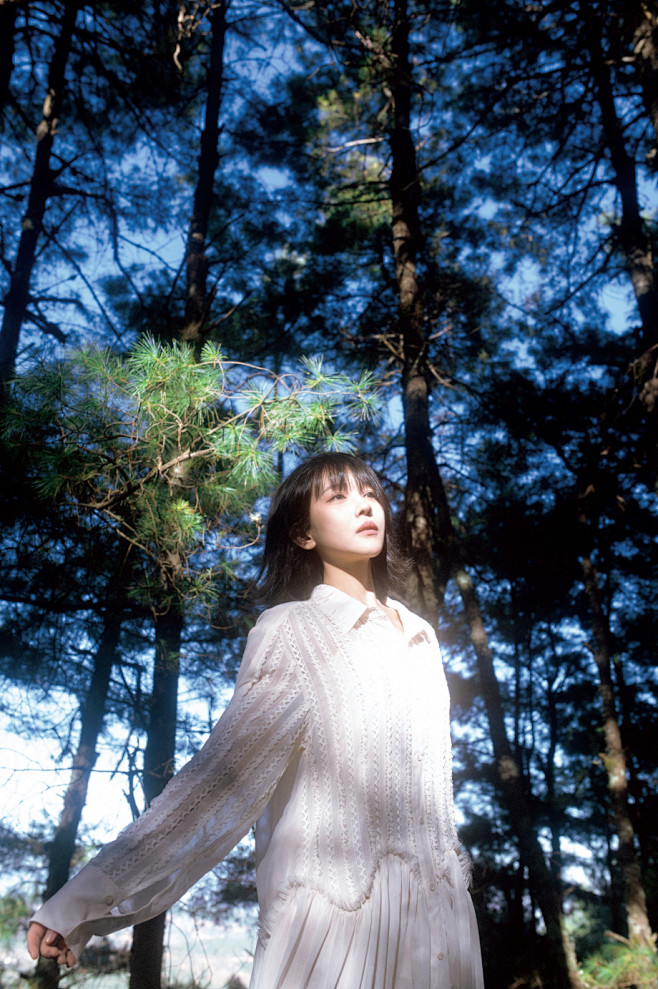 阳光晒透的森林 - 庆猫r 