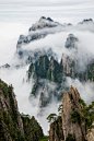 云雾缭绕的黄山，奇松立于石上。

摄影/方托马斯