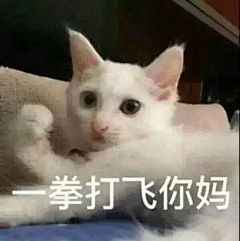怣怹Such采集到表情包