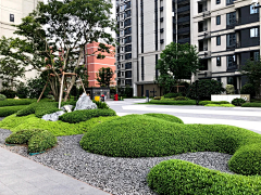 芝麻糕的糕采集到枯山水