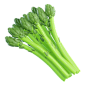 Asparagus  3D Icon