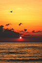 (1) Tumblr
