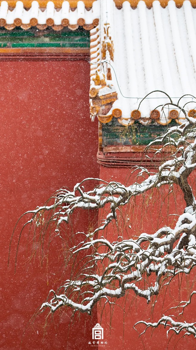 瑞雪为媒，与故宫共赴冬奥之约！

