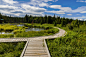 加拿大、美国游记（014）：海狸木栈道湿地公园