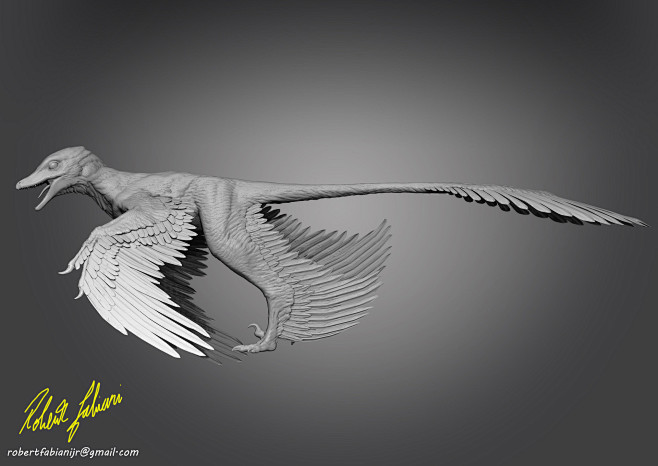 microraptorrobertjohnfabianijrmicroraptor