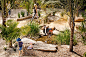 Adelaide-Zoo-Play-Space-Nature-WAX Design-06 « Landscape Architecture Works | Landezine