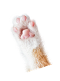 未标题-7