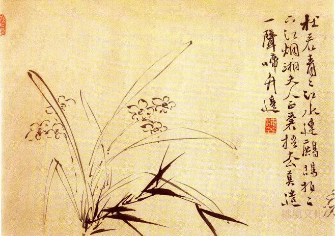 徐渭《水仙图》 (1000×703)