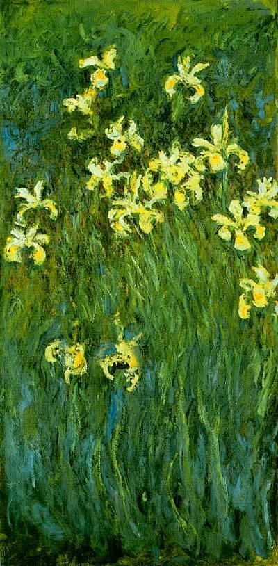 黄色鸢尾花“，莫奈1914