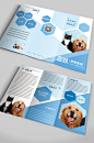 宠物医院宠物用品店宣传手册三折页-众图网