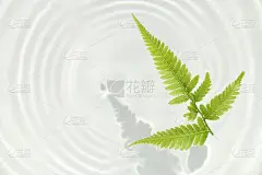 蕨叶和水波纹背景#2